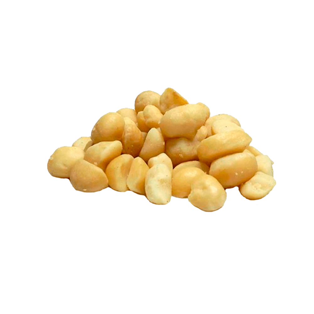 NOZES MACADAMIA TORRADA S/ SAL